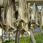 Havly Rost - Hotell Og Fiskarheim 호텔 Røst
