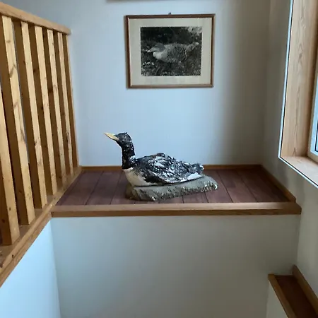 Fiskarheimen Havly, Hotell Røst