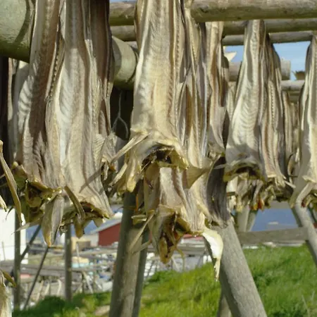 Fiskarheimen Havly, Hotel Røst