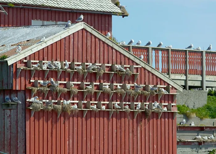 Hotel Havly Rost - Hotell Og Fiskarheim Røst