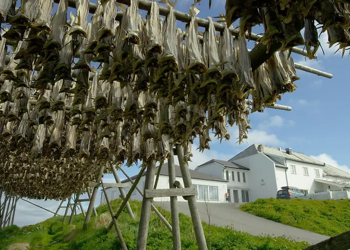 Havly Rost - Hotell Og Fiskarheim Hotel Røst