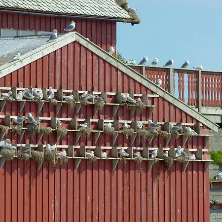 Hotel Havly - Og Fiskarheim Røst